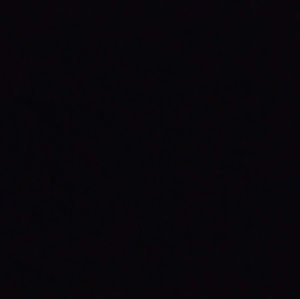 Meet your Posher, Jackson